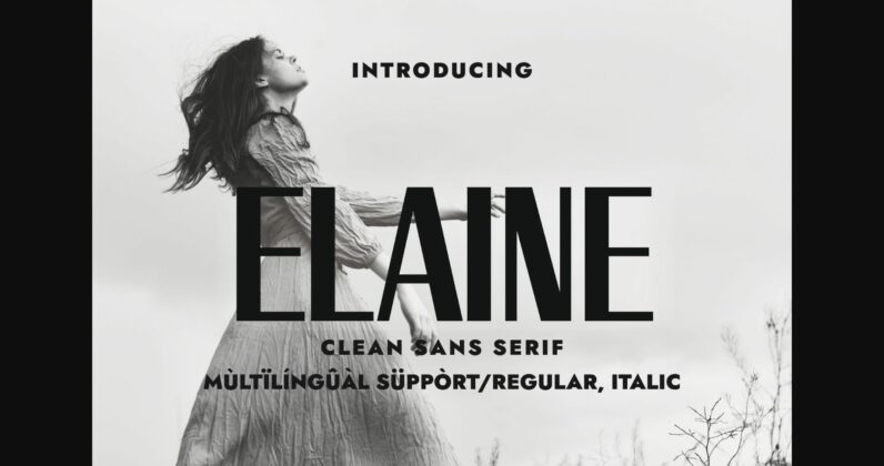 Elaine Font Poster 3