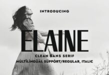 Elaine Font Poster 1