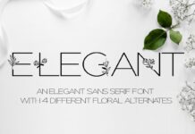 Elegant Font Poster 1