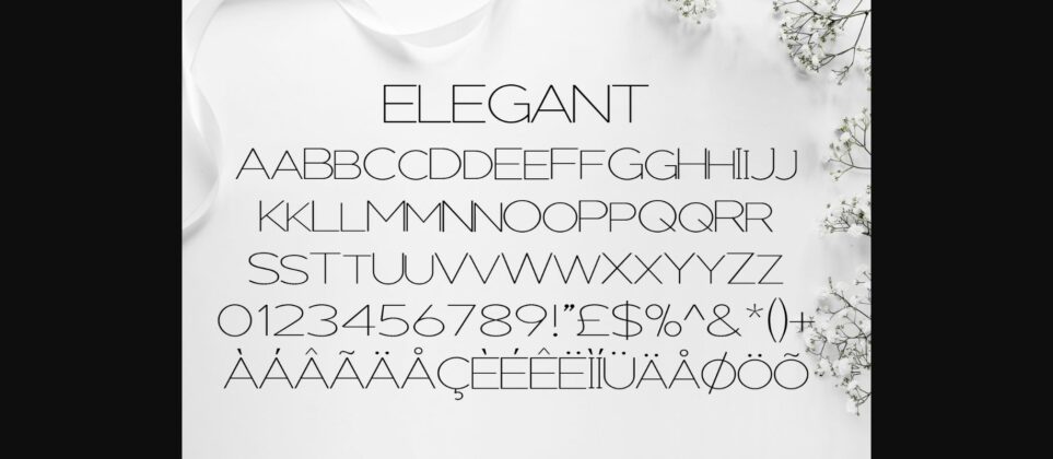 Elegant Font Poster 4