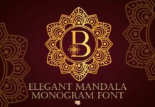 Elegant Mandala Monogram Font Poster 1