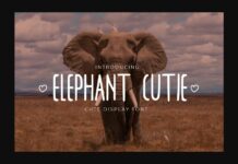 Elephant Cutie Font Poster 1