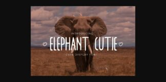 Elephant Cutie Font Poster 1