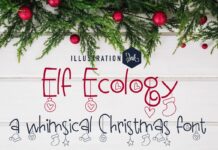 Elf Ecology Font Poster 1