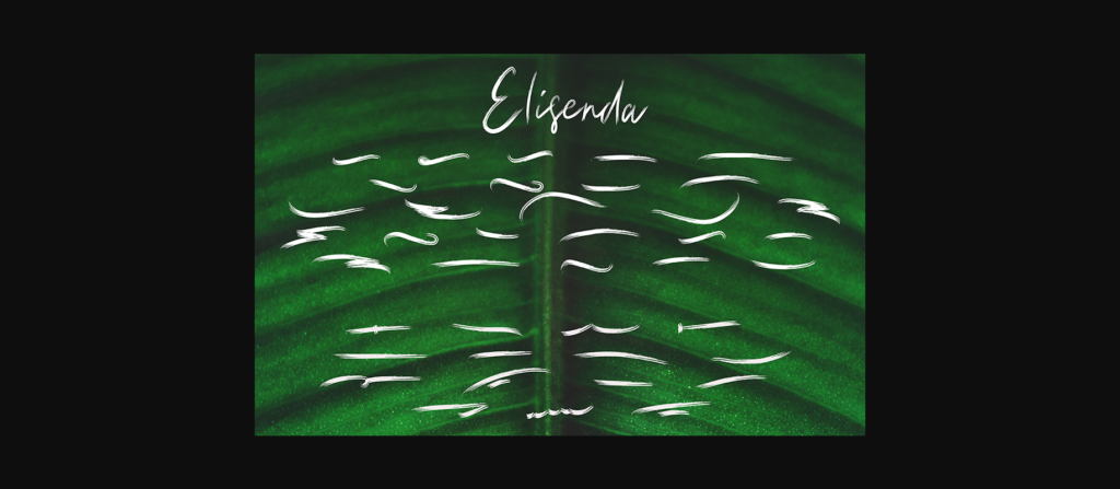 Elisenda Font Poster 7