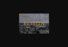 Elison Font Poster 1