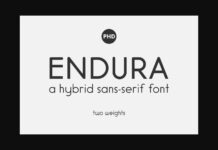 Endura Font Poster 1