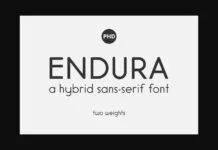 Endura Font Poster 1