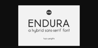 Endura Font Poster 1