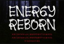Energy Reborn Font Poster 1