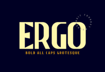 Ergo Font Poster 1