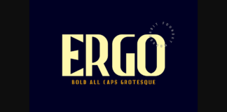 Ergo Font Poster 1