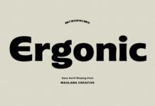 Ergonic Font Poster 1