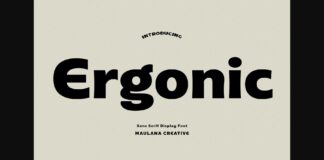 Ergonic Font Poster 1