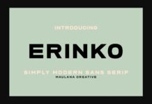 Erinko Font Poster 1