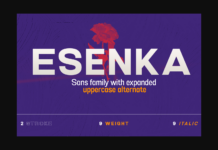 Esenka Font Poster 1