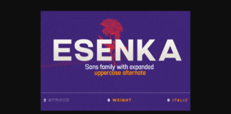 Esenka Font Poster 1