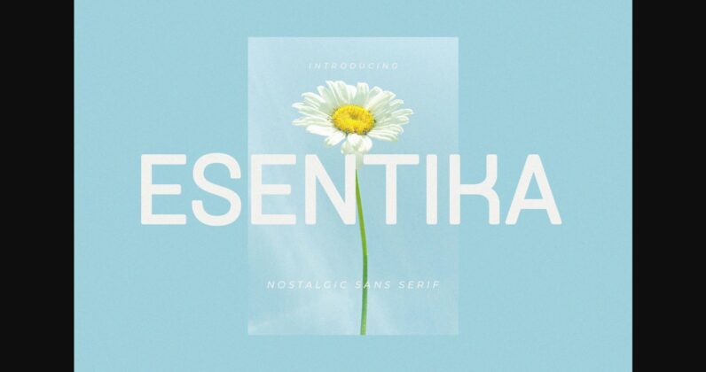 Esentika Font Poster 3