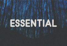 Essential Font Poster 1