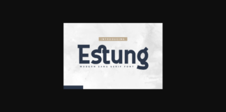 Estung Font Poster 1