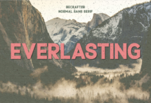 Everlasting Font Poster 1