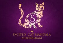 Excited Cat Mandala Monogram Font Poster 1