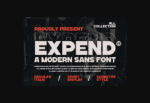 Expend Font Poster 1