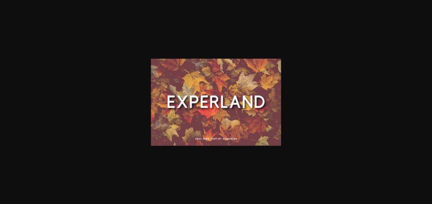 Experland Font Poster 3