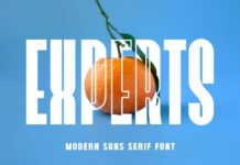 Experts Font Poster 1