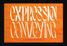 Expression Conveying Font Poster 1