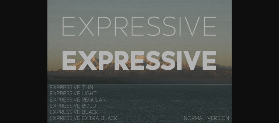 Expressive Font Poster 3