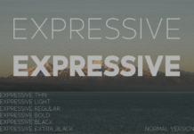 Expressive Font Poster 1