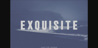 Exquisite Font Poster 1