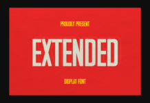 Extended Font Poster 1