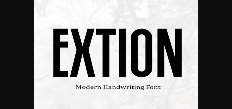 Extion Font Poster 3