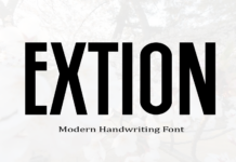 Extion Font Poster 1