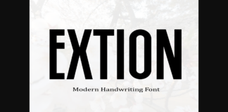 Extion Font Poster 1