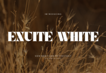 Exuite White Font Poster 1