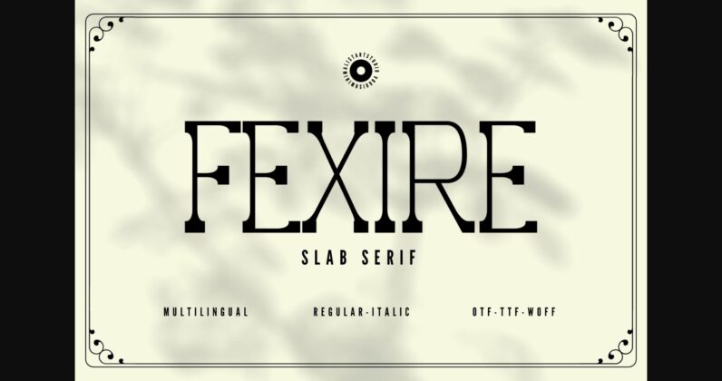 Fexire Poster 3