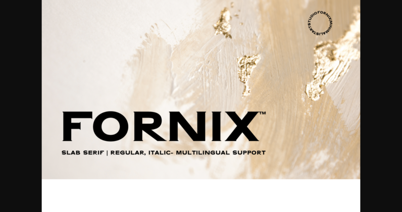 Fornix Poster 3