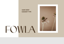 Fowla Font Poster 1