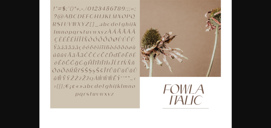 Fowla Font Poster 10