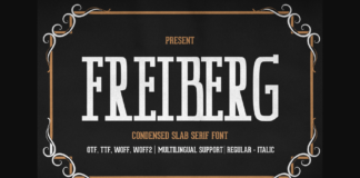 Freiberg Poster 1