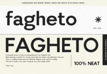 Fagheto Font Poster 1