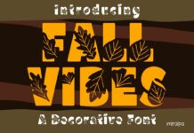 Fall Vibes Font Poster 1