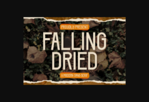 Falling Dried Font Poster 1