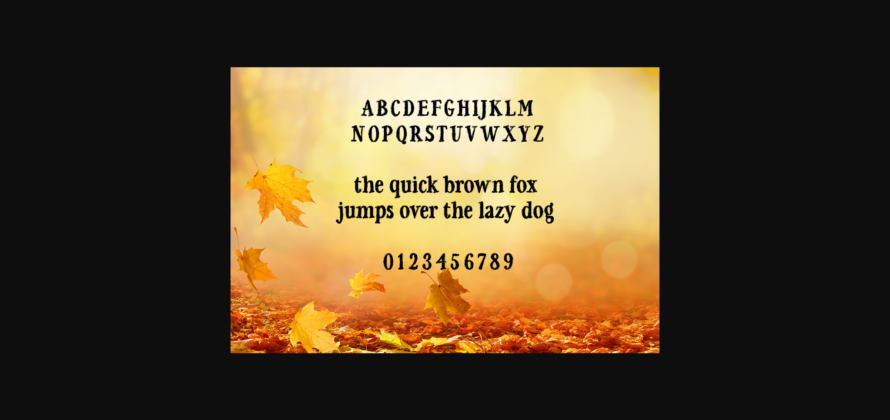 Falling for Autumn Font Poster 4