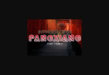 Fangxiang Font Poster 1