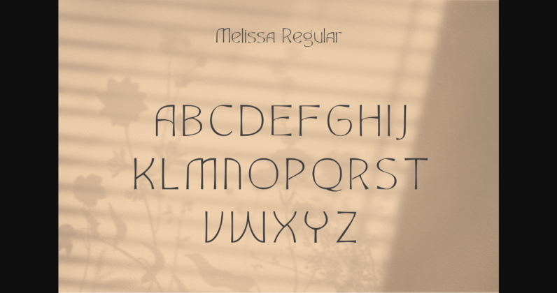 Fashion Elegant Beautiful Timeless Moder Font Poster 4