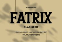 Fatrix Poster 1